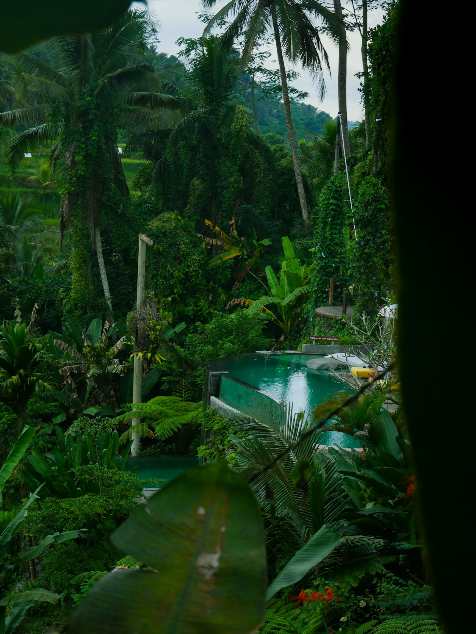 Hồ bơi giữa cây xanh, ảnh tham khảo tại Ubud